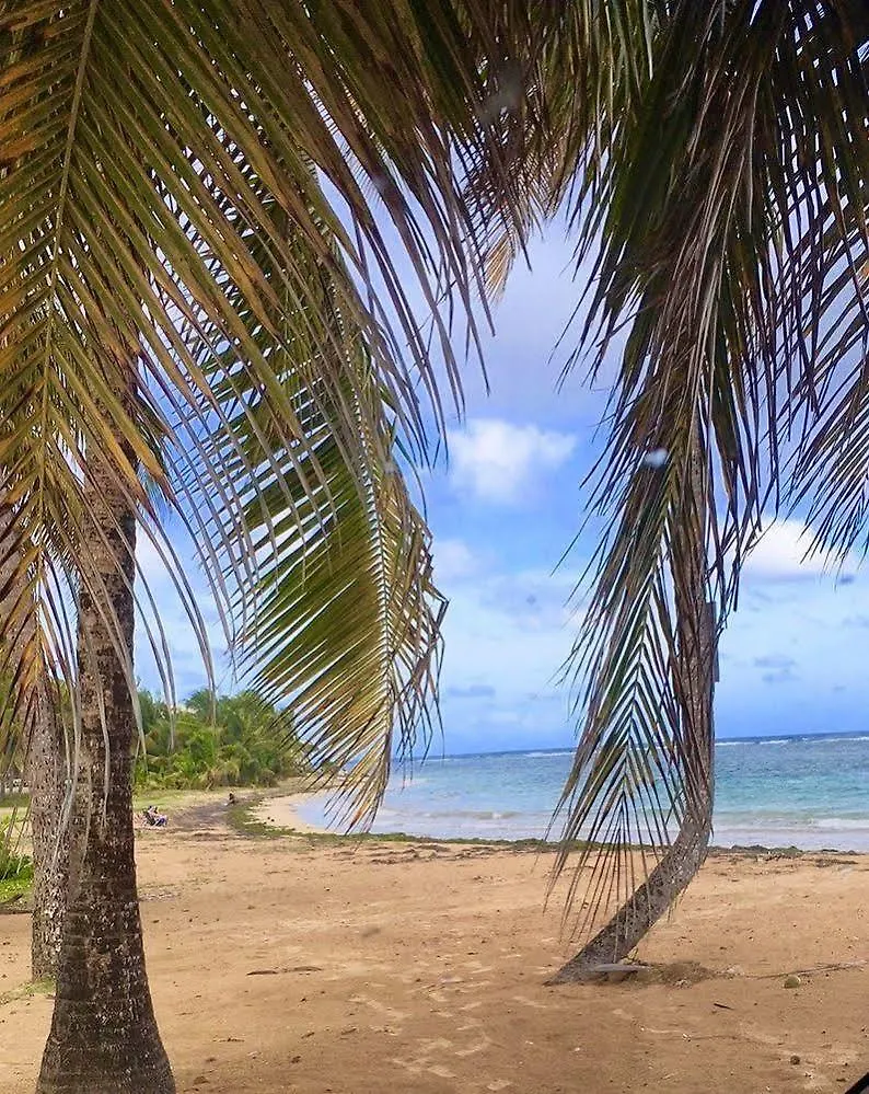 ***  Ocean Pearl Inn Luquillo Puerto Rico